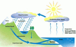 water cycle