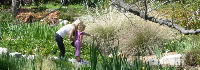 Explore - The Arboretum