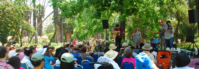 Events The Arboretum
