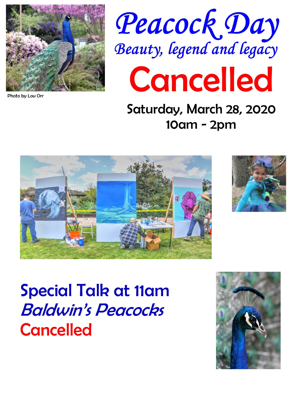 CANCELLED Peacock Day 2020 The Arboretum