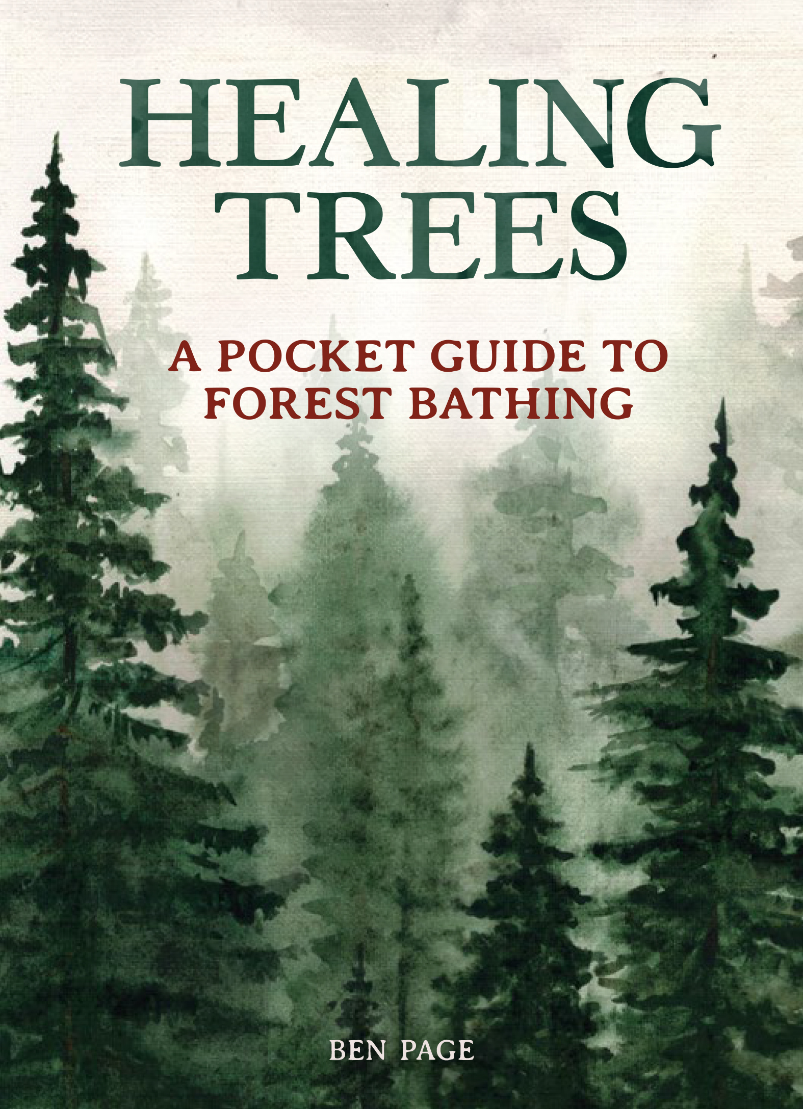 Zoom! Healing Trees A Forest Bathing Journey The Arboretum